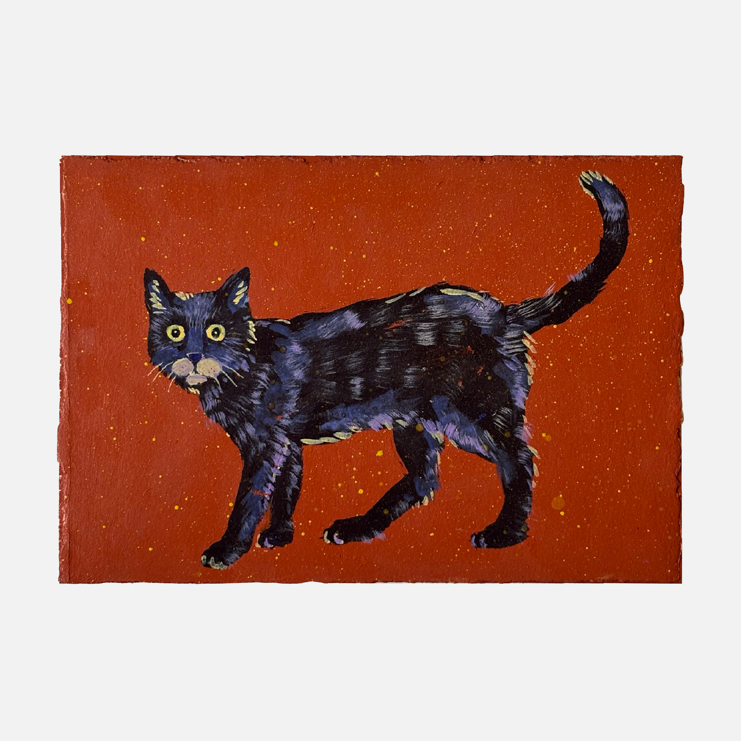 Mike Kasun 8 "Scare-D-Cat"