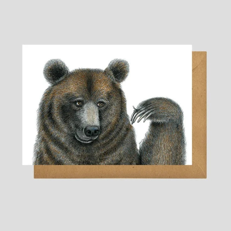 Charlotte Nicolin Animal Art Cards