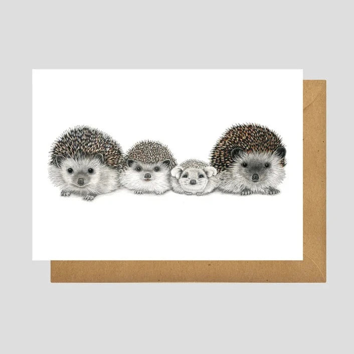 Charlotte Nicolin Animal Art Cards