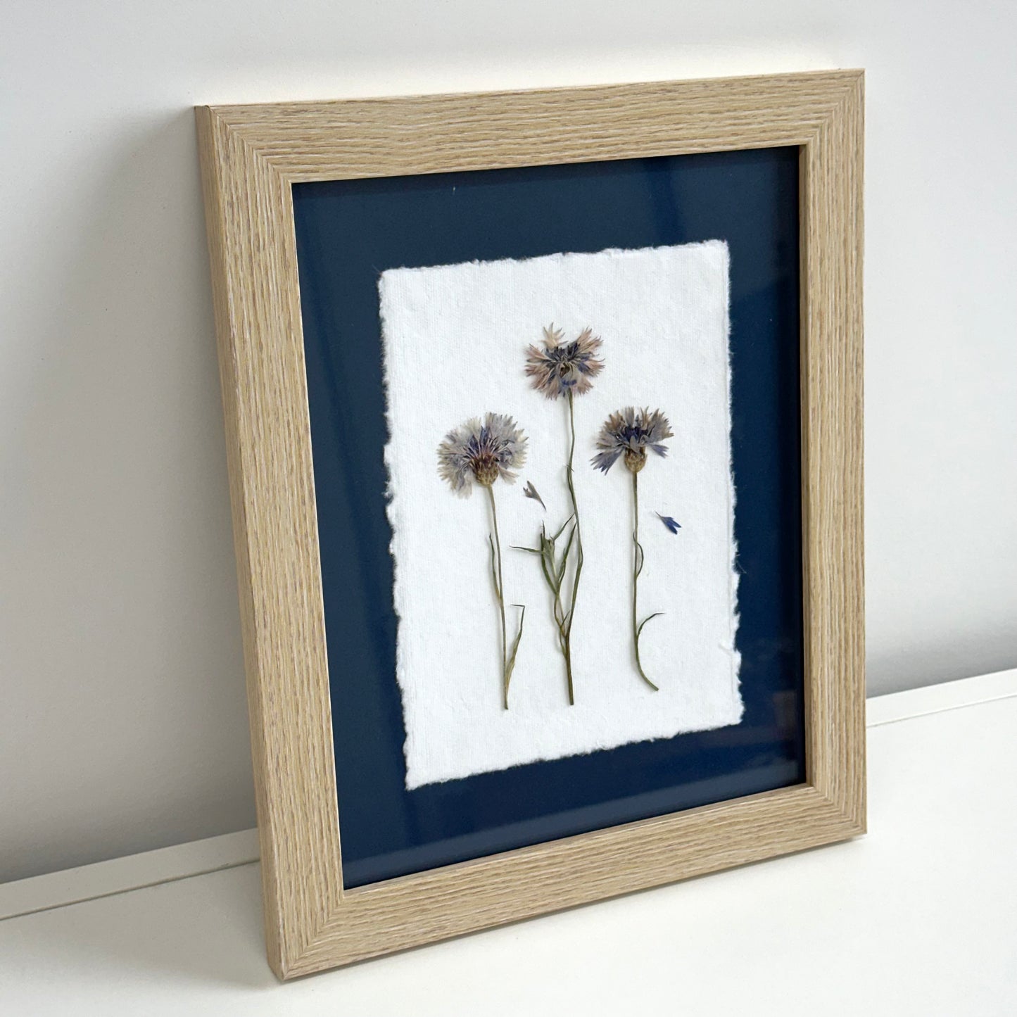 The Botanical Collective "Cornflowers"