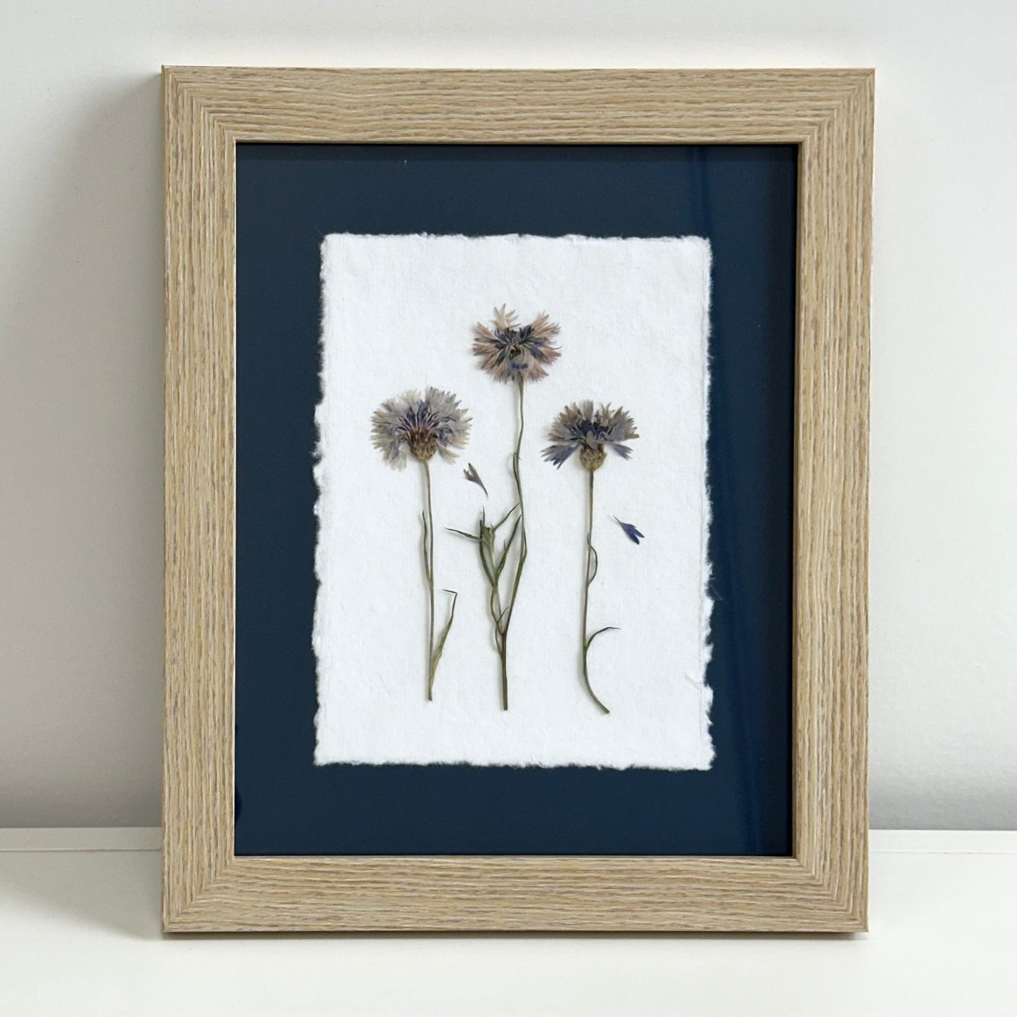 The Botanical Collective "Cornflowers"