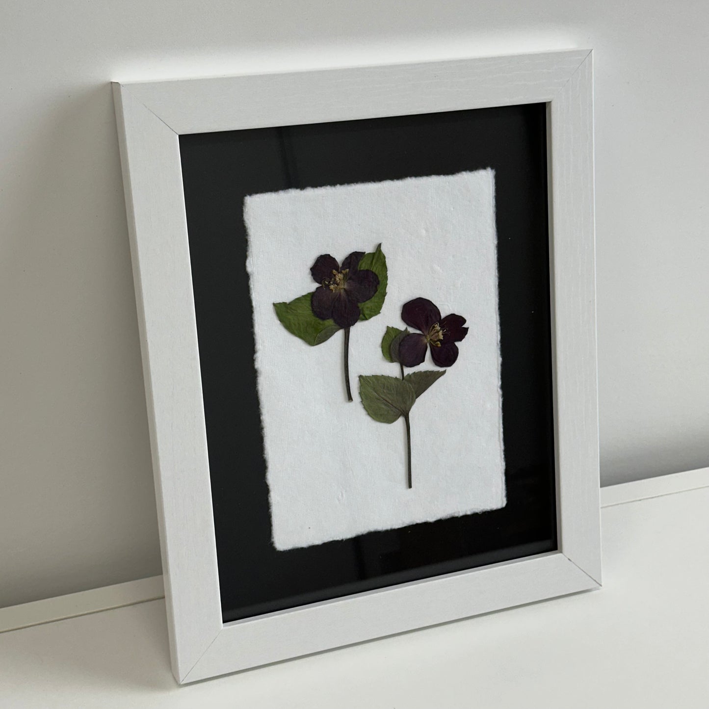 The Botanical Collective "Hellebore"
