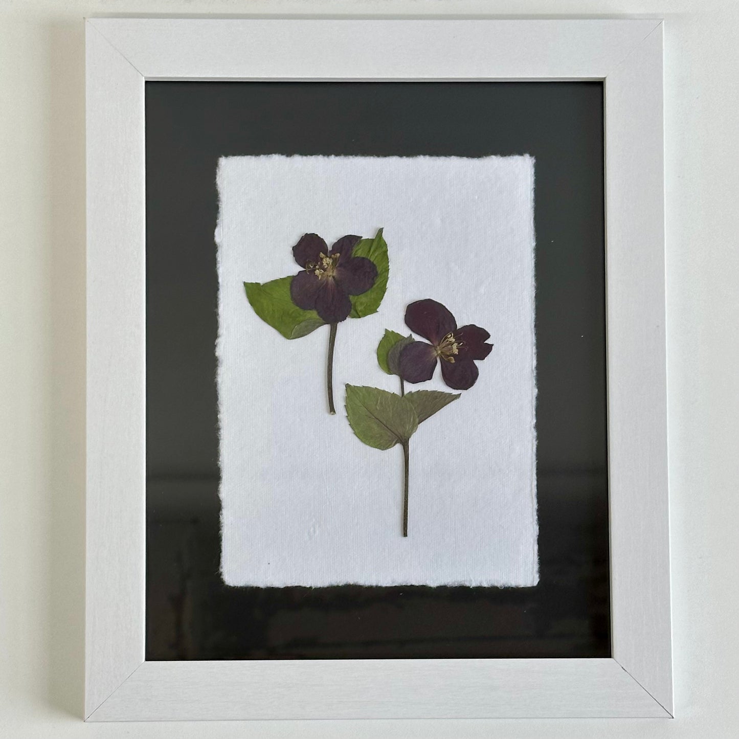 The Botanical Collective "Hellebore"
