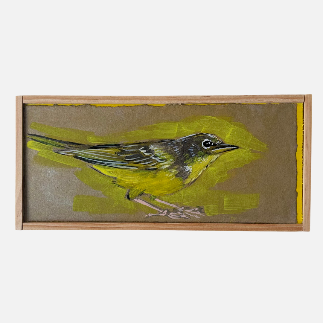 Mike Kasun 93 "Mourning Warbler"