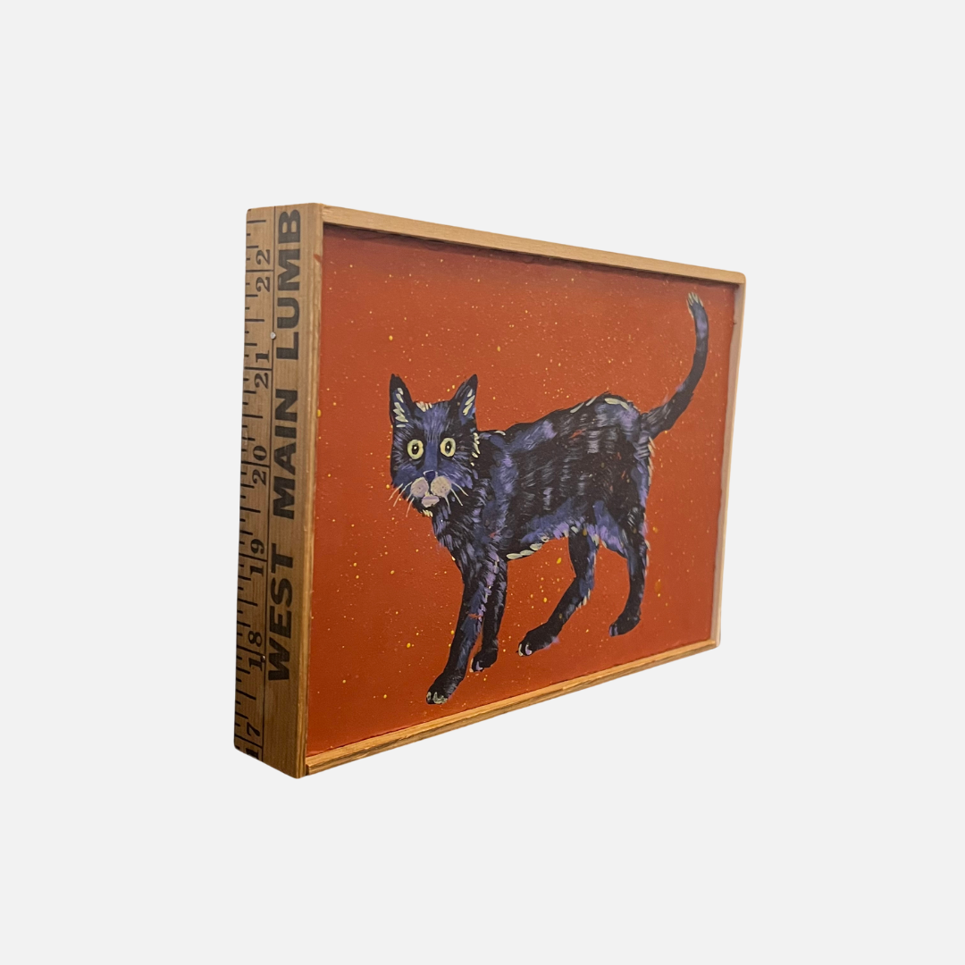 Mike Kasun 8 "Scare-D-Cat"