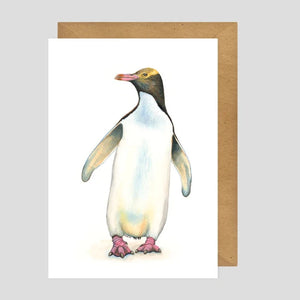 Charlotte Nicolin Animal Art Cards