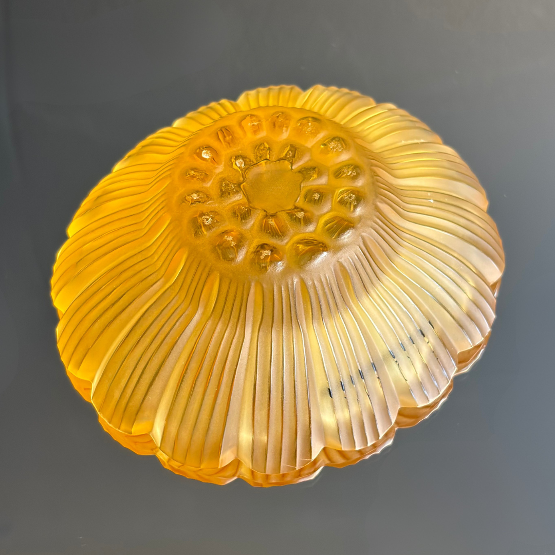 Lalique Crystal Daisy Trinket Dish