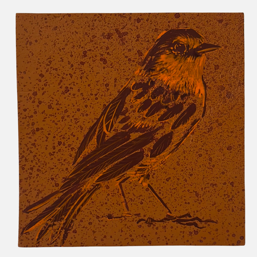 Mike Kasun 1 "European Robin"