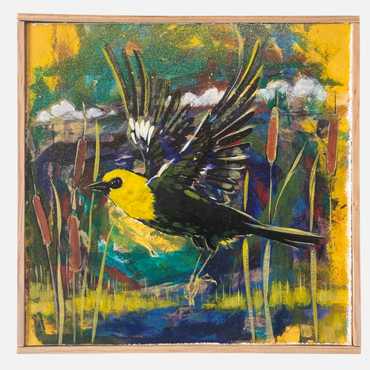 Mike Kasun 47 "Yellow Headed Blackbird"