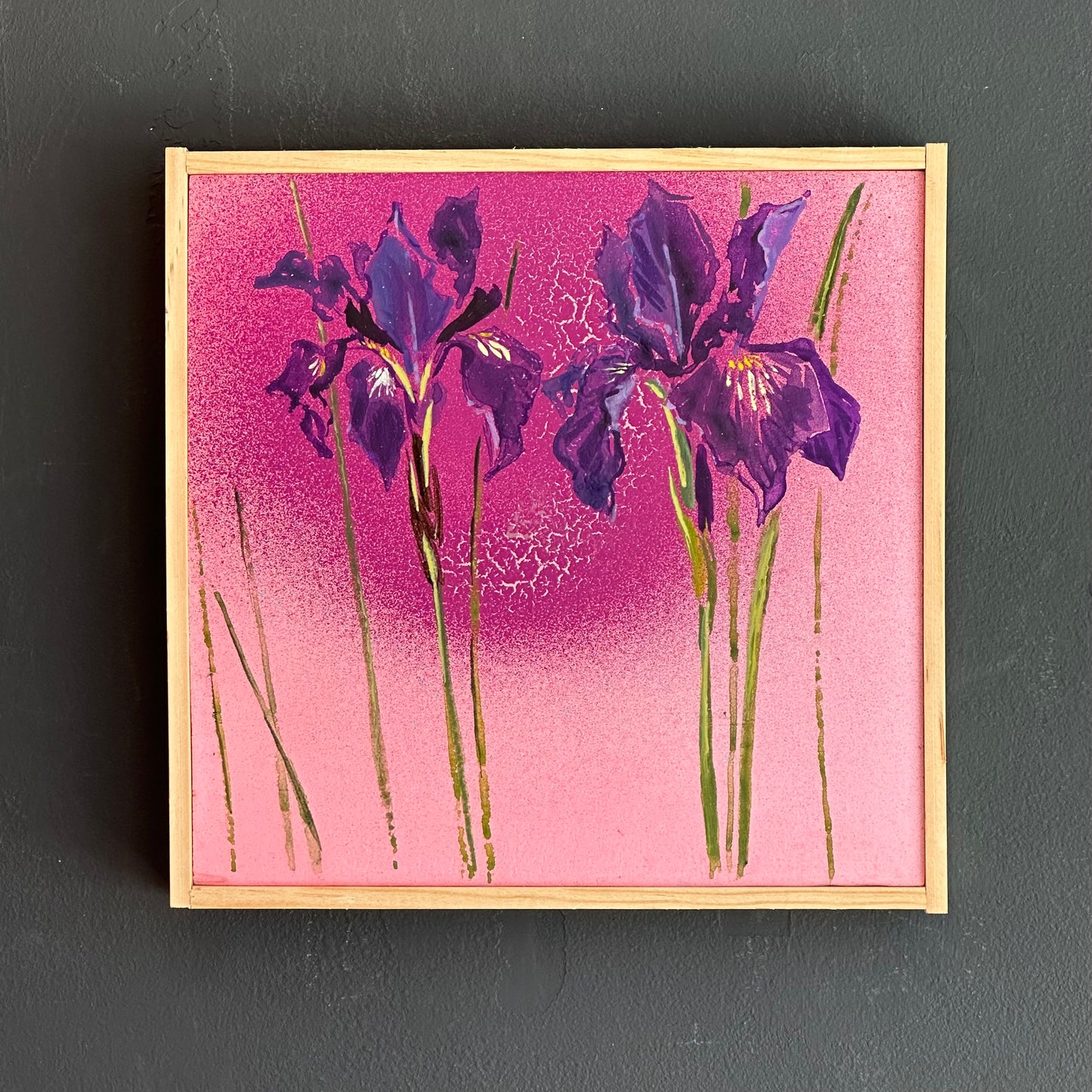 Mike Kasun "siberian iris"
