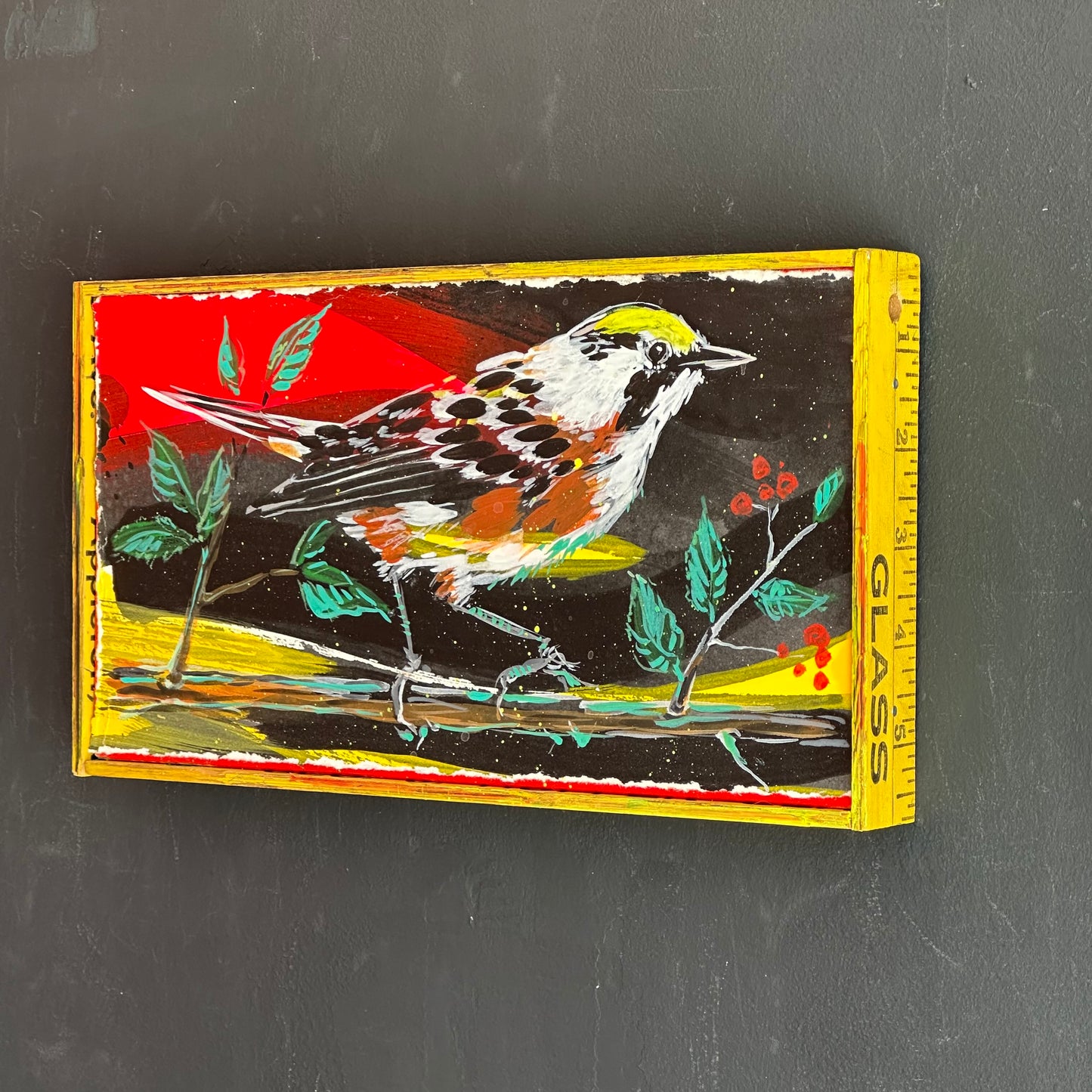 Mike Kasun "chestnut sided warbler"