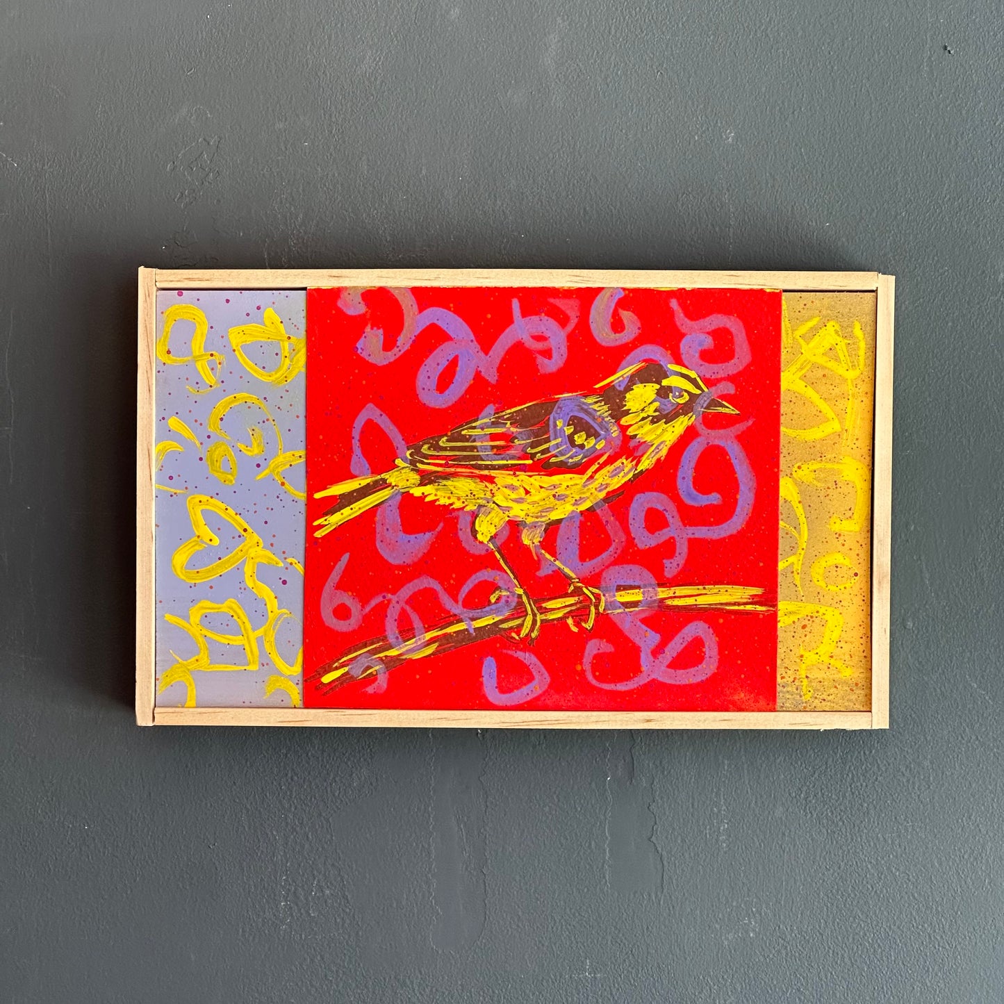Mike Kasun "yellow warbler"