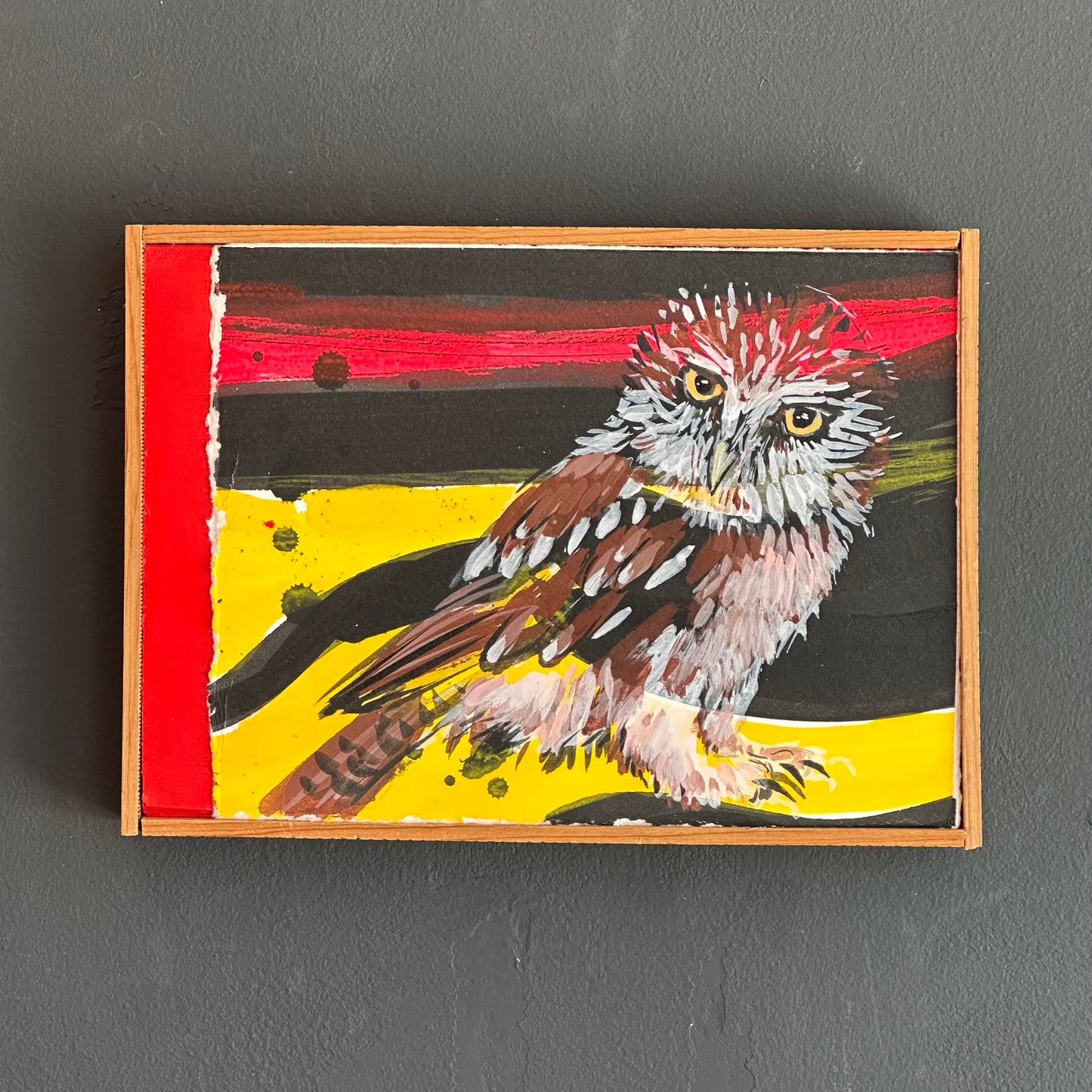 Mike Kasun "pygmy owl"