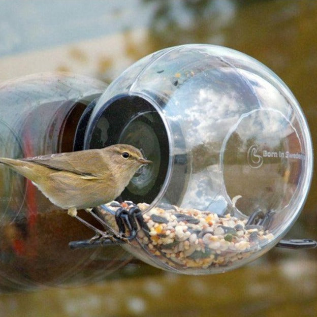 Born in Sweden Bird Feeder