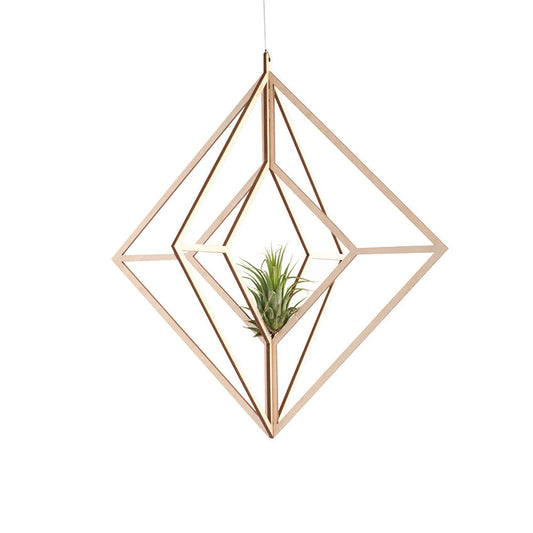 Valona Finnish Birch Himmeli XL