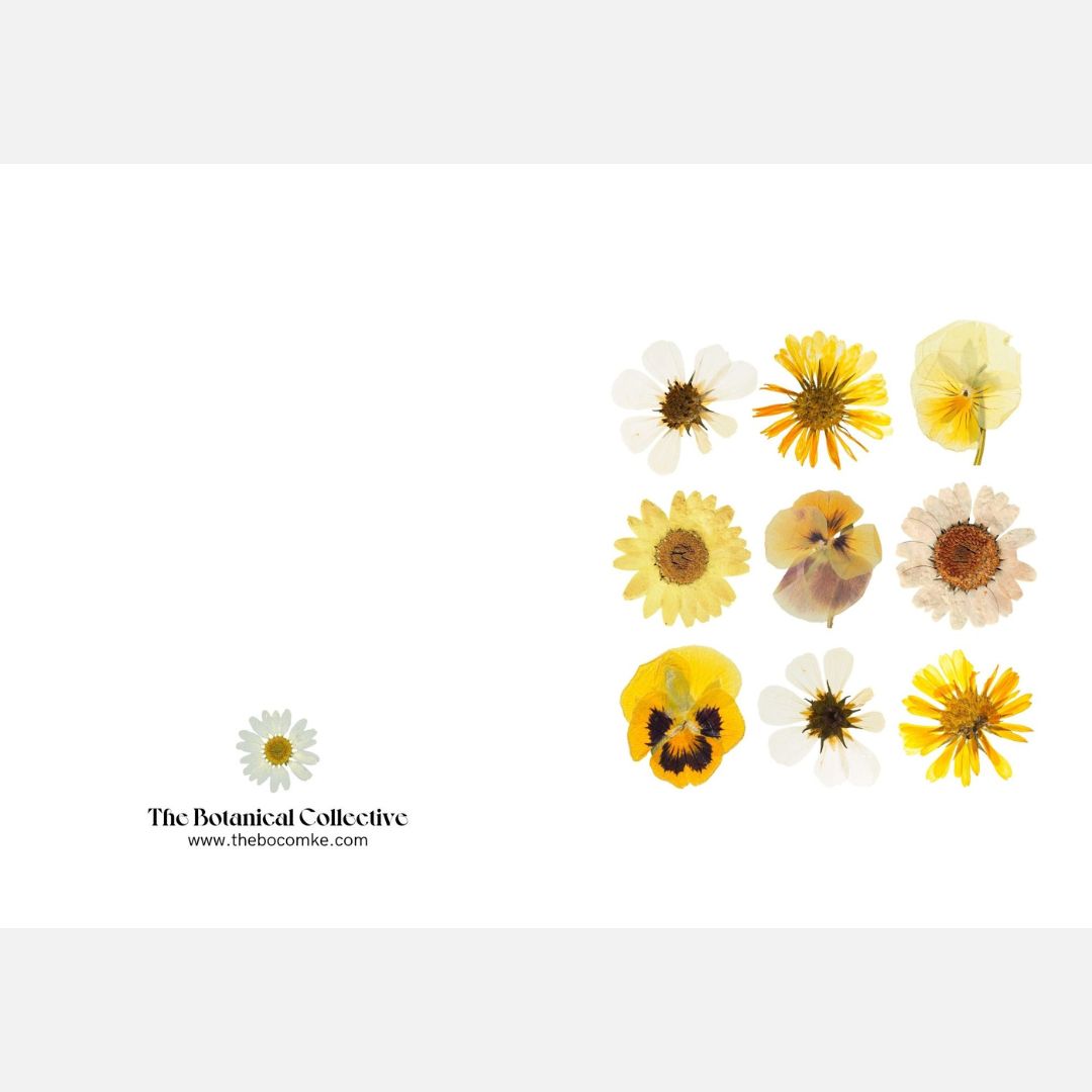 The BoCo Pressed Flower Art Print Greeting Cards