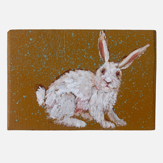 Mike Kasun 64  "Bad Bunny"