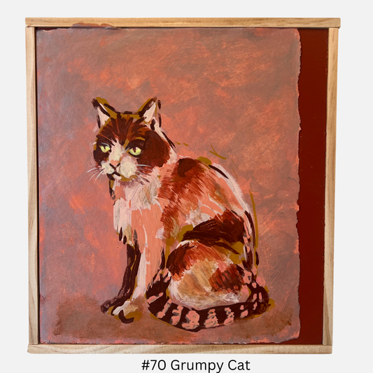 Mike Kasun 70 "Grumpy Cat"