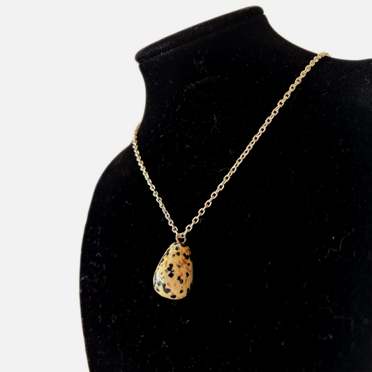 Teardrop Dalmatian Jasper Necklace (55)