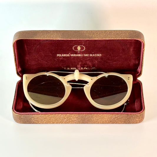 Vintage Polaroid Variable Day Glasses (With Original Case)