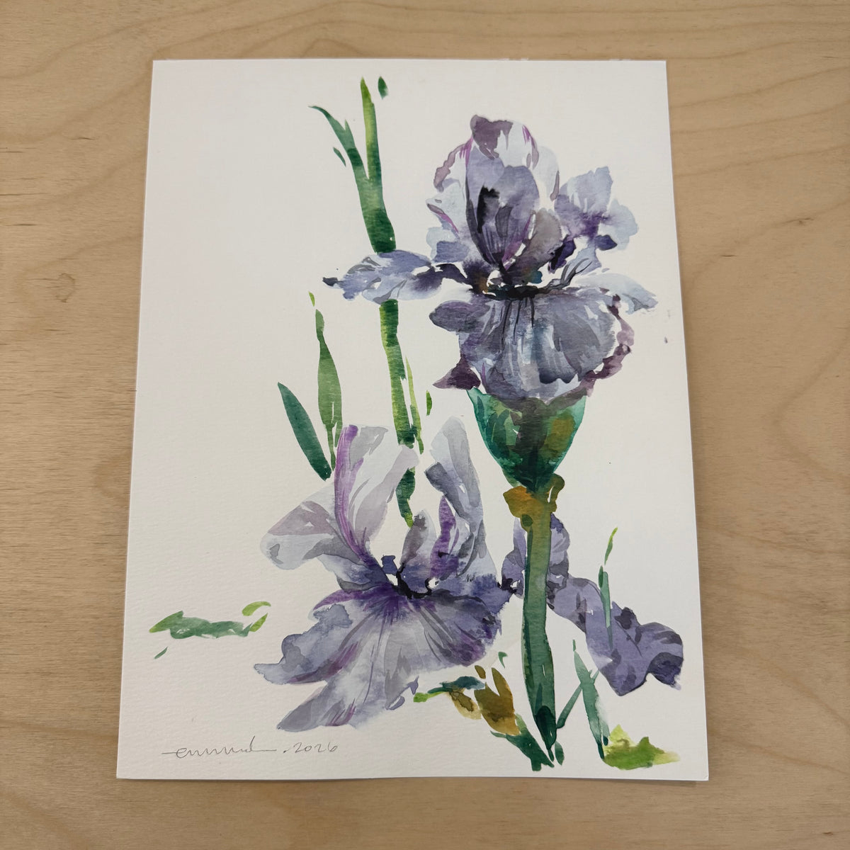 Emma Daisy - "Iris Play"