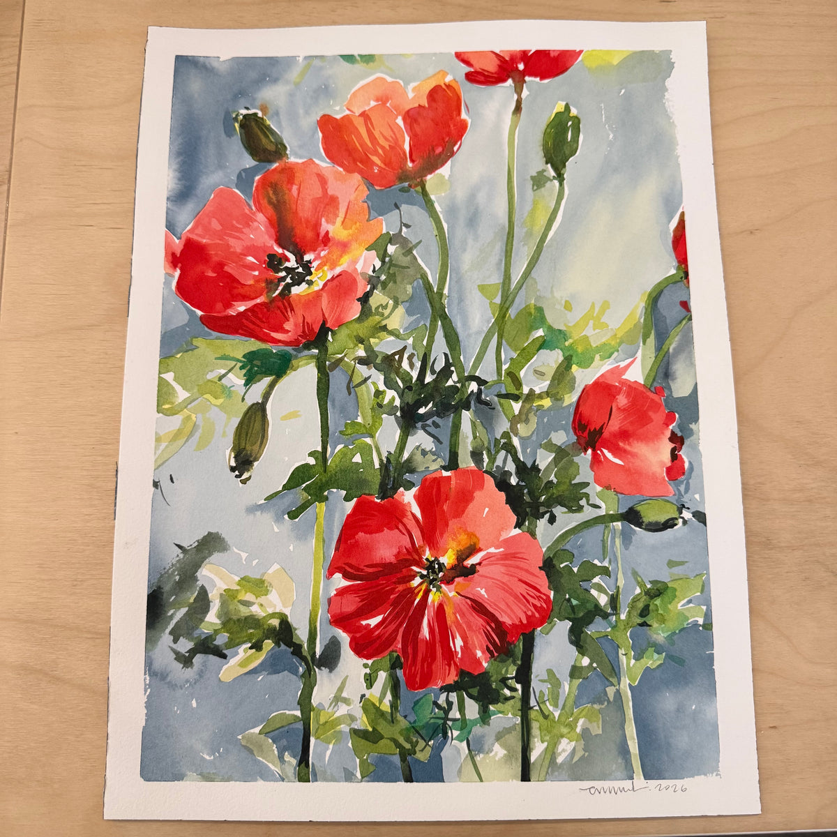 Emma Daisy - "Red Poppies"