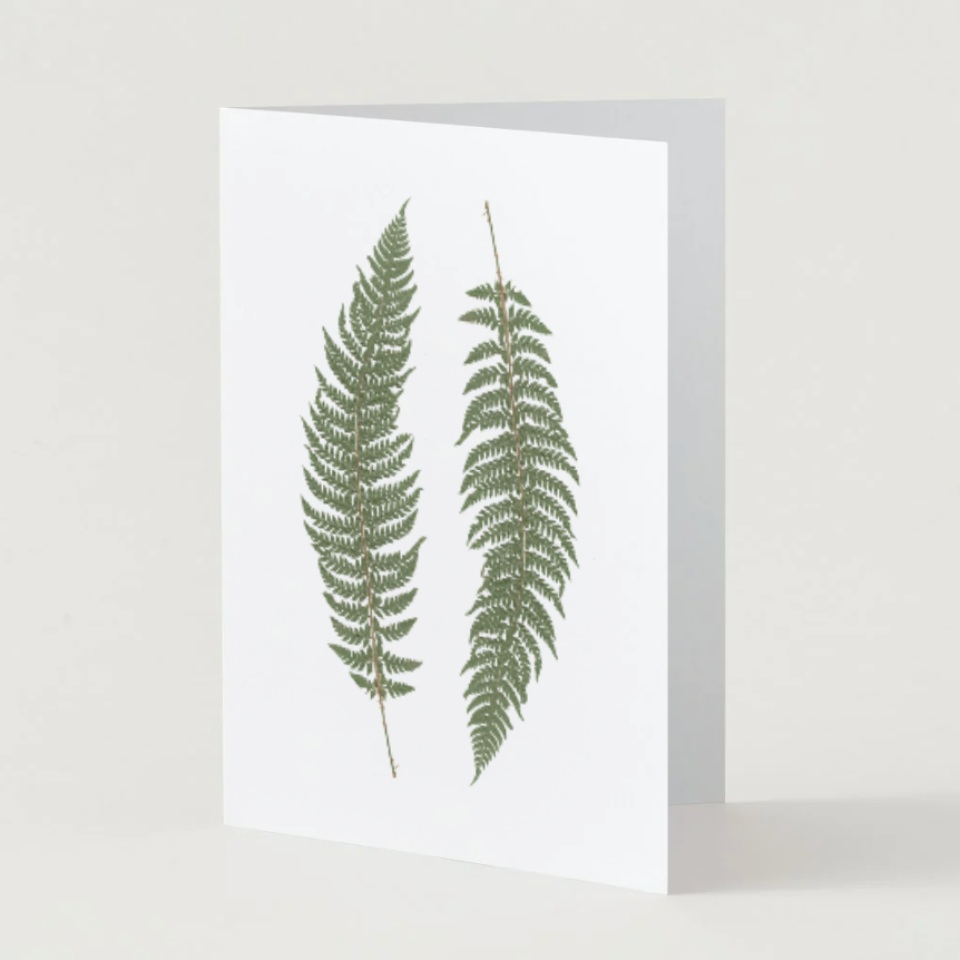 The BoCo Pressed Flower Art Print Greeting Cards