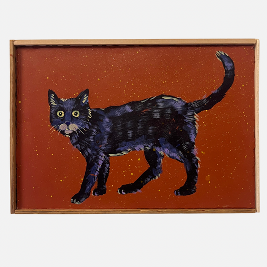 Mike Kasun 8 "Scare-D-Cat"