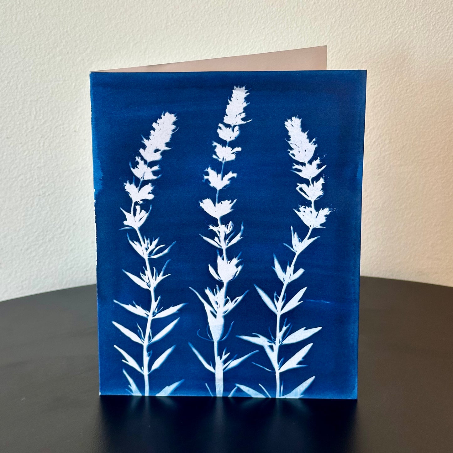 The BoCo Botanical Cyanotype Greeting Cards