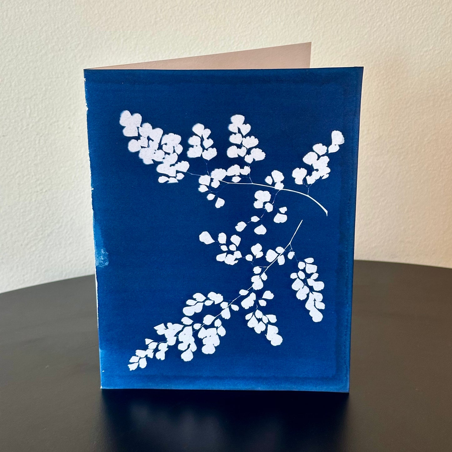 The BoCo Botanical Cyanotype Greeting Cards