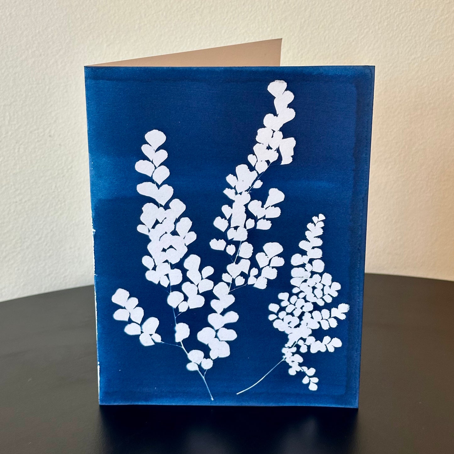 The BoCo Botanical Cyanotype Greeting Cards
