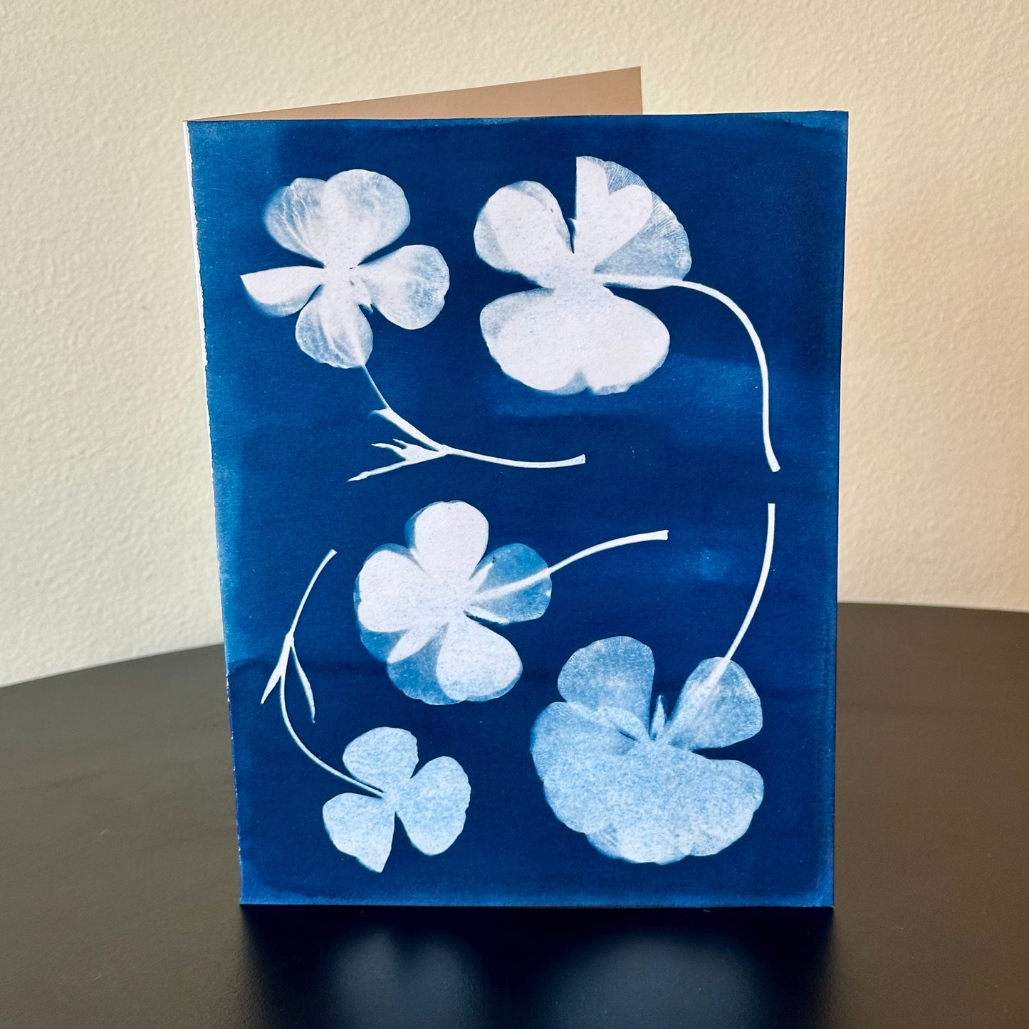 The BoCo Botanical Cyanotype Greeting Cards
