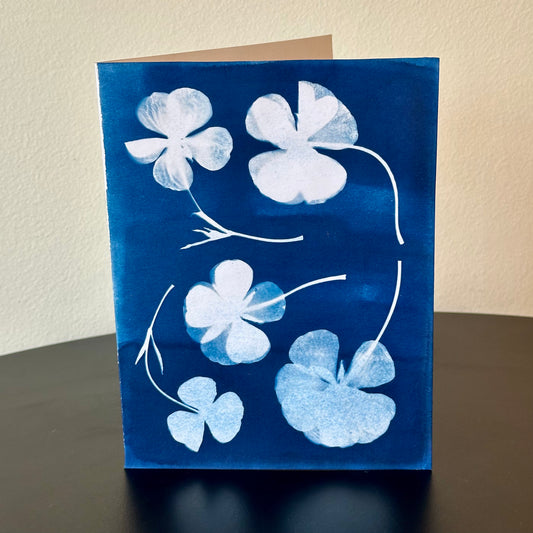 The BoCo Botanical Cyanotype Greeting Cards