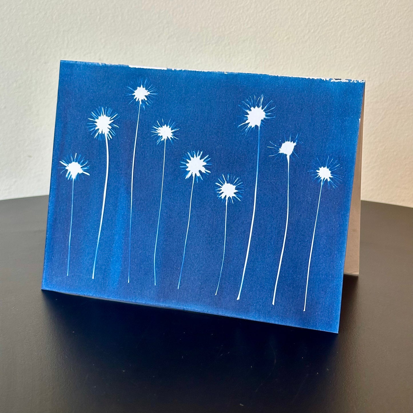 The BoCo Botanical Cyanotype Greeting Cards