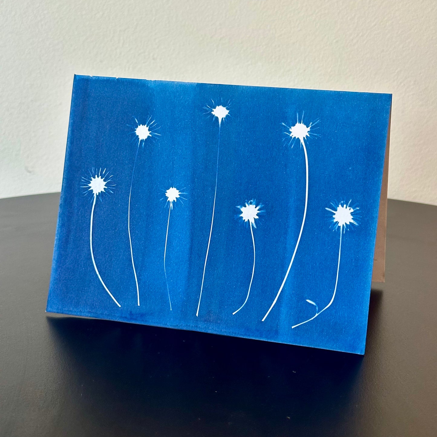 The BoCo Botanical Cyanotype Greeting Cards