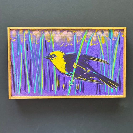 Mike Kasun "old world robin"