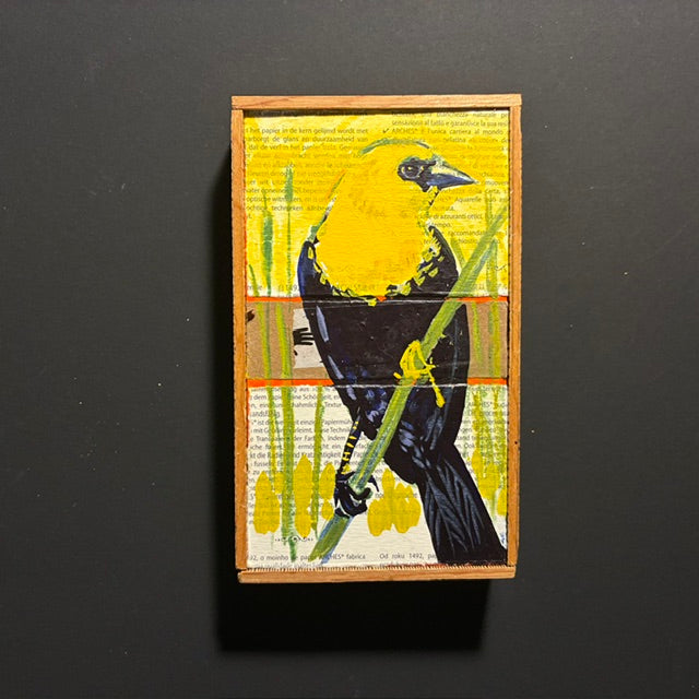 Mike Kasun "yellowhead"