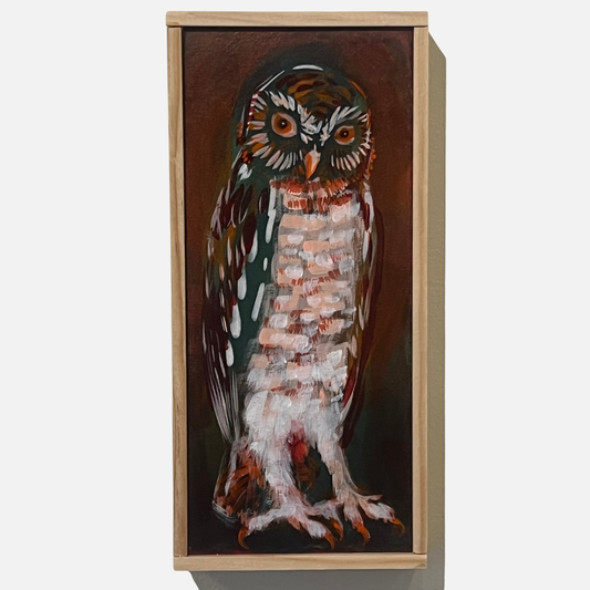 Mike Kasun 77 "Owleye"