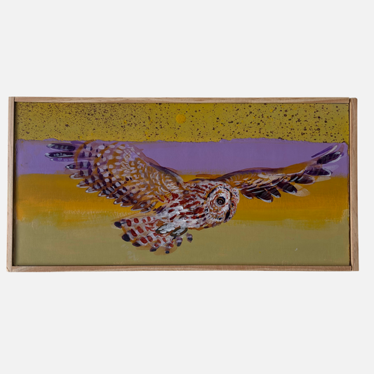 Mike Kasun 81 "Barred Owl"