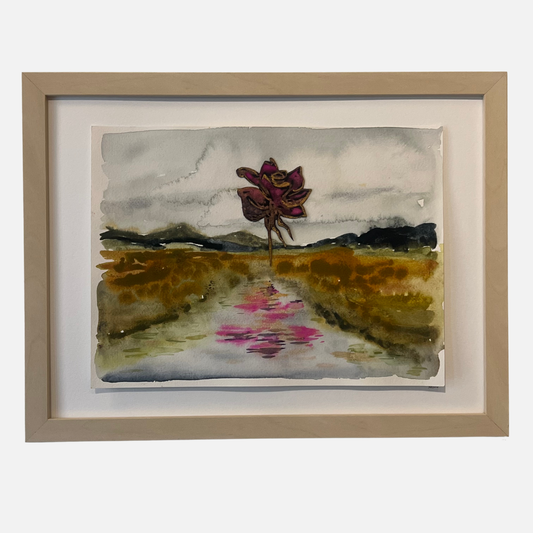 Mike Kasun 51 "Rosa de la Caldera"