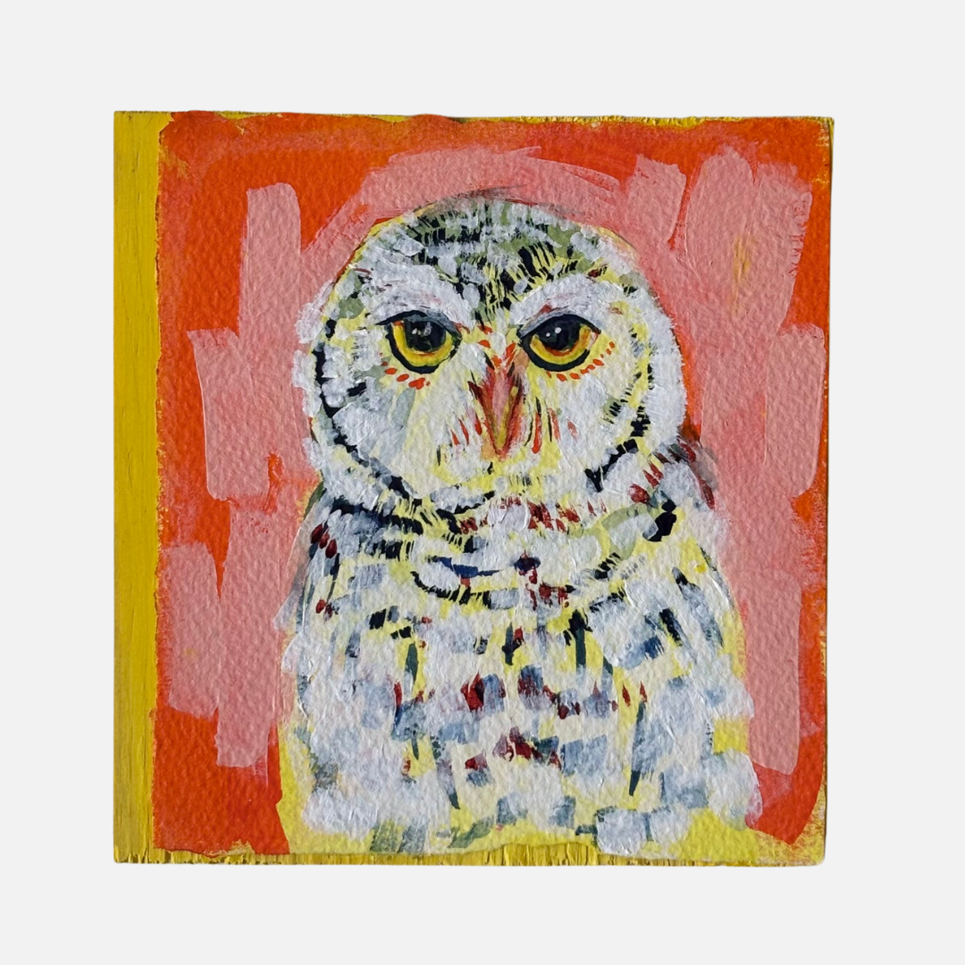 Mike Kasun 92 "Snowy Stare"