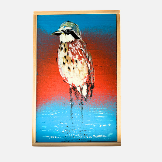 Mike Kasun "Bush Stone Curlew"