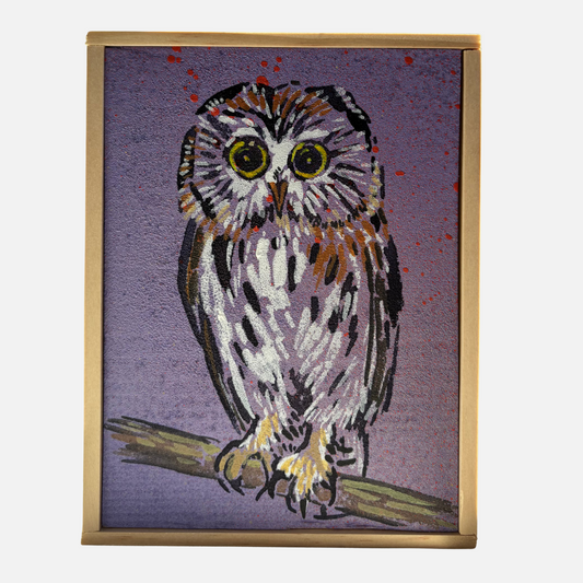 Mike Kasun "Saw Whet Owl"