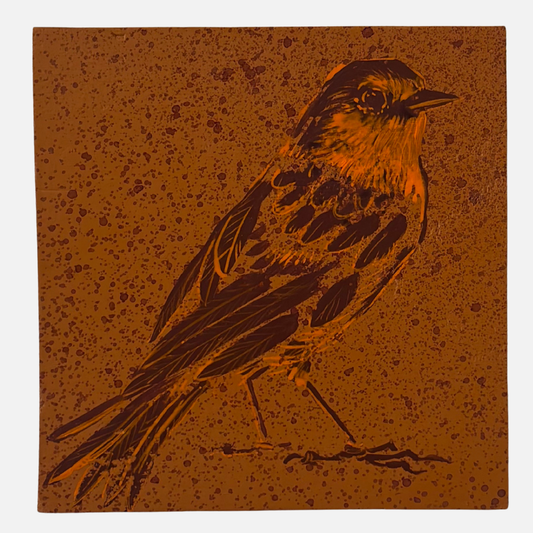 Mike Kasun 1 "European Robin"