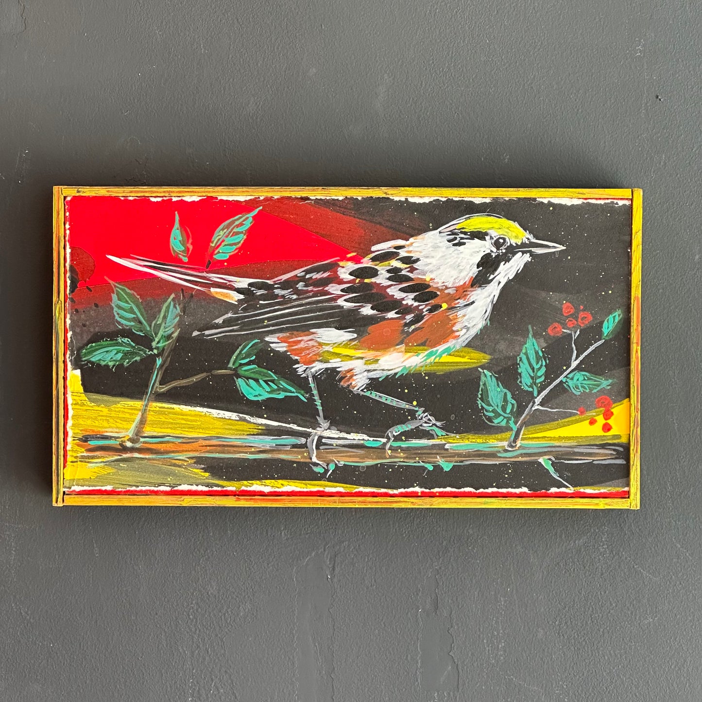 Mike Kasun "chestnut sided warbler"