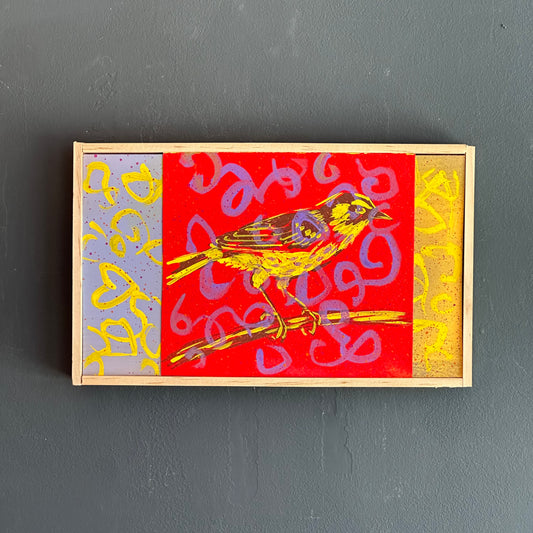 Mike Kasun "yellow warbler"