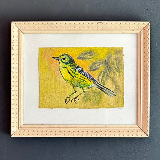 Mike Kasun "prairie warbler"