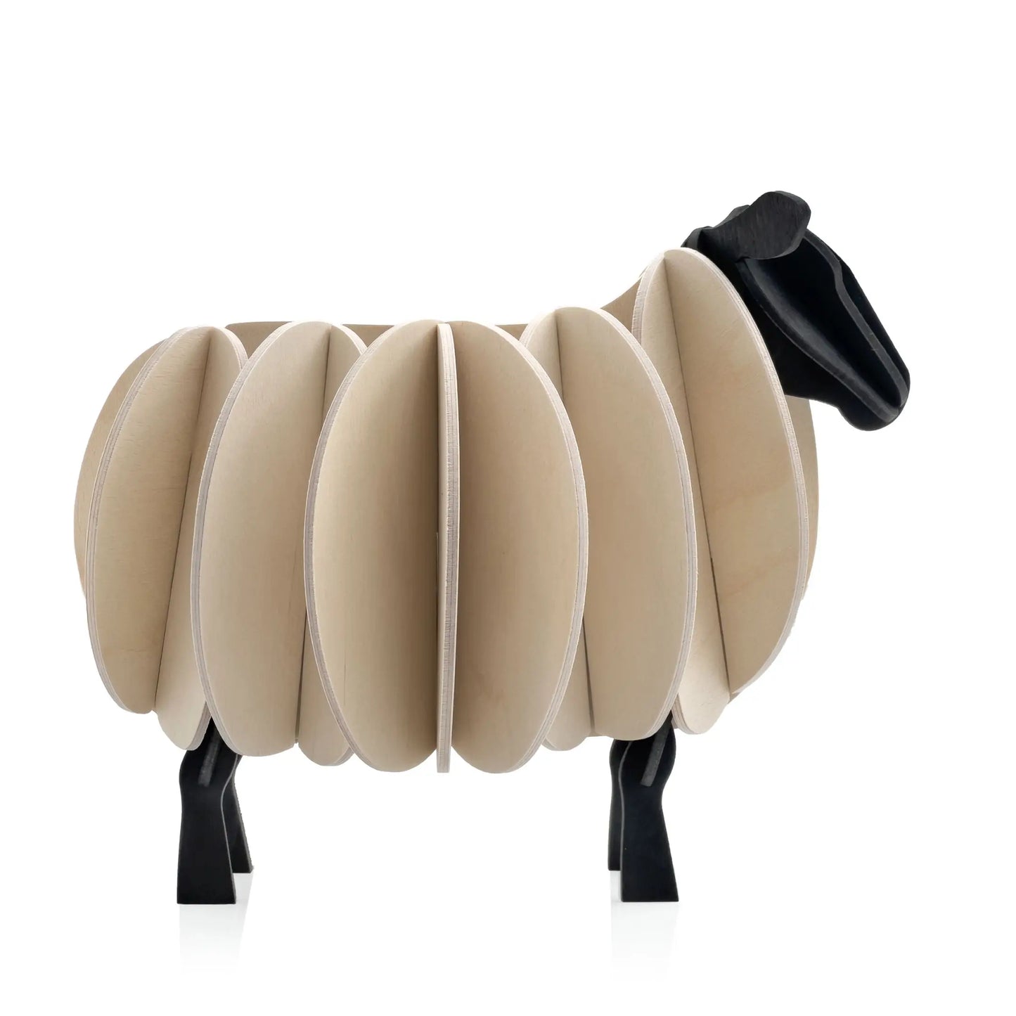 Lovi Sheep