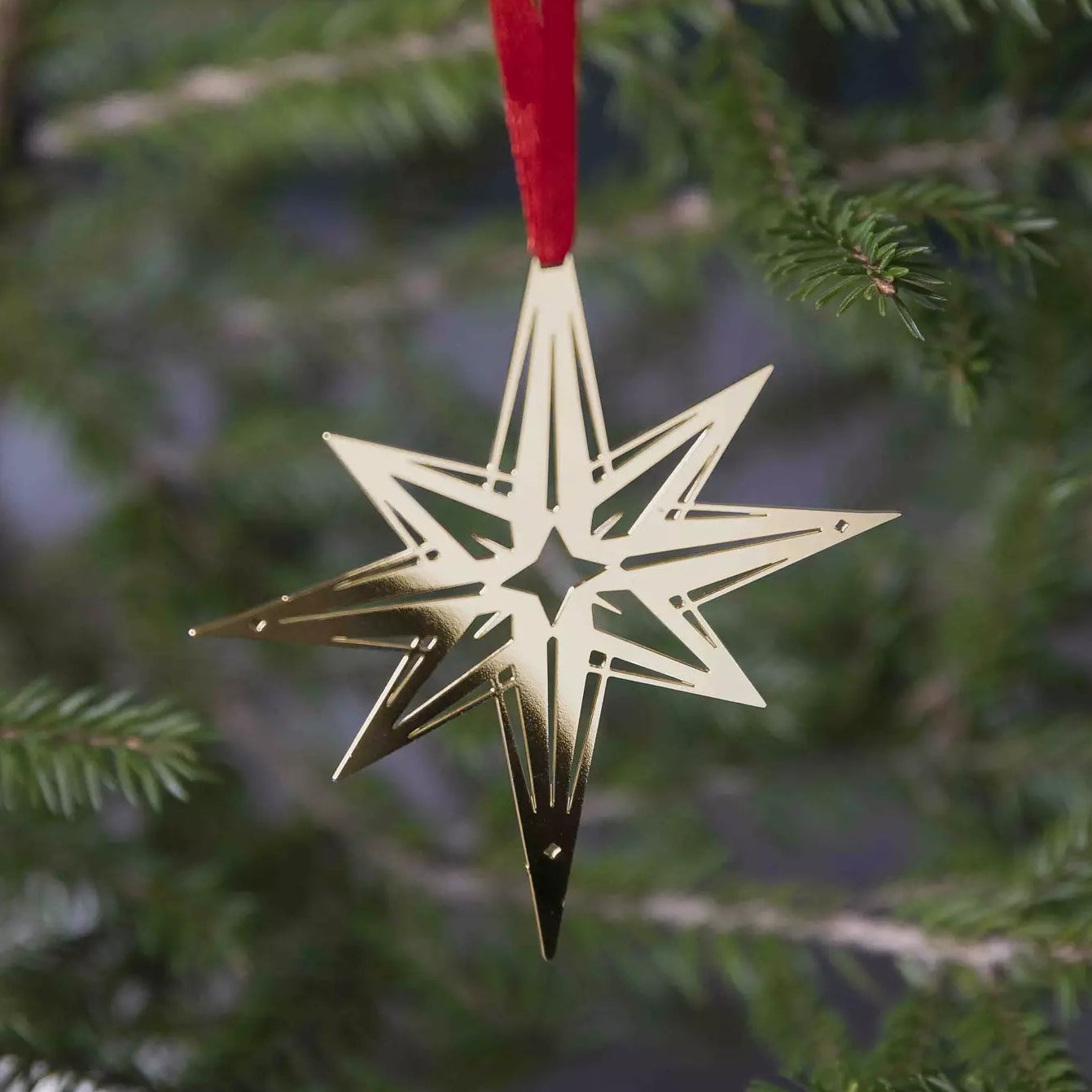 Decorative star ornament hanging on a Christmas tree branch