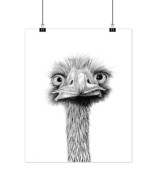 Boas Grafik Struds (Ostrich) Art Print